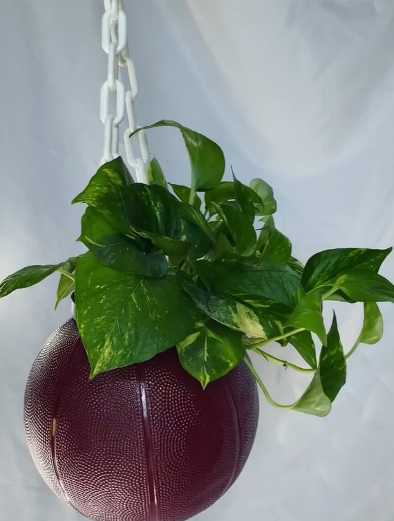 Custom Basketball Planter